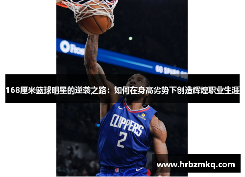 168厘米篮球明星的逆袭之路：如何在身高劣势下创造辉煌职业生涯